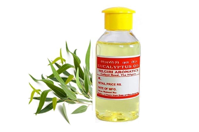 Nilgiri Aromatics Pure and Natural Therapeutic Grade A Eucalyptus Oil - 30 ml