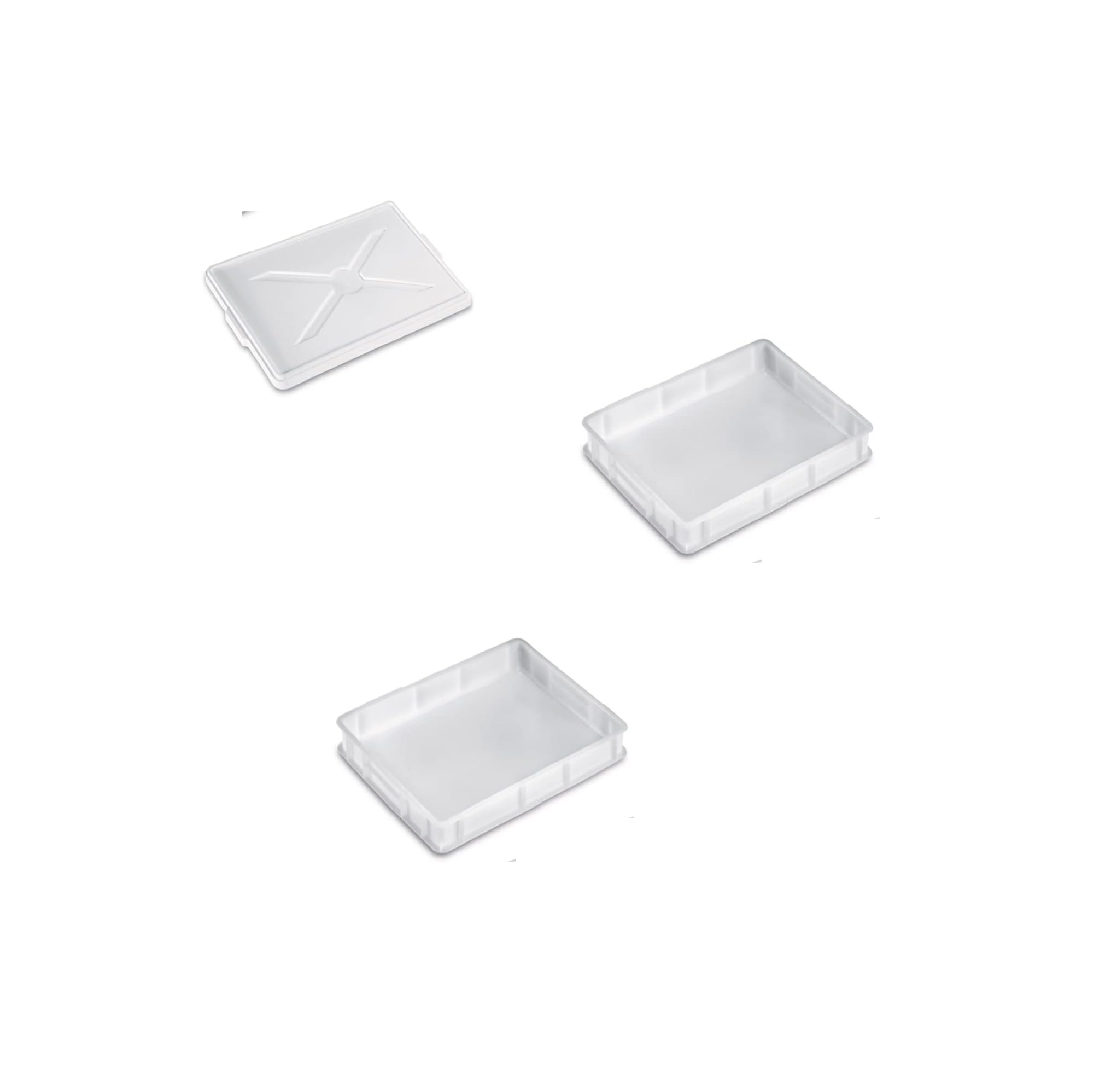 2 Bacinelle bacinella 60x40x10 impasto palline per pizza contenitore con 1 coperchio