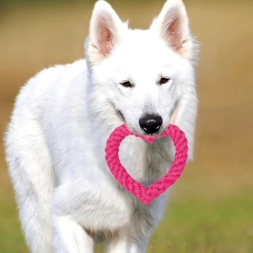 SGERUFZ 2 Stück Robustes Kauspielzeug für Welpen, Zahnreinigung, Puppy Herzform Seil Spielzeug Geflochtene, Interaktives Hundespielzeug, für Kleine Mittelgroßen Hund
