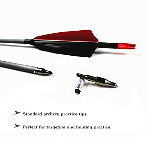 Letszhu Carbon Archery Arrows 500 Spine With Real Feathers For Compound Recurve Bow (12 Pack) (28 Inch Arrows) #TOP5
