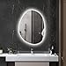 HOMCOM Specchio Bagno con Luci LED a 3 Temperature di Colori, 70x50cm Specchio da Parete Moderno Retroilluminato Reversibile con Antiappannamento Funzione Memory in Vetro Temperato, IP44, Argento immagine
