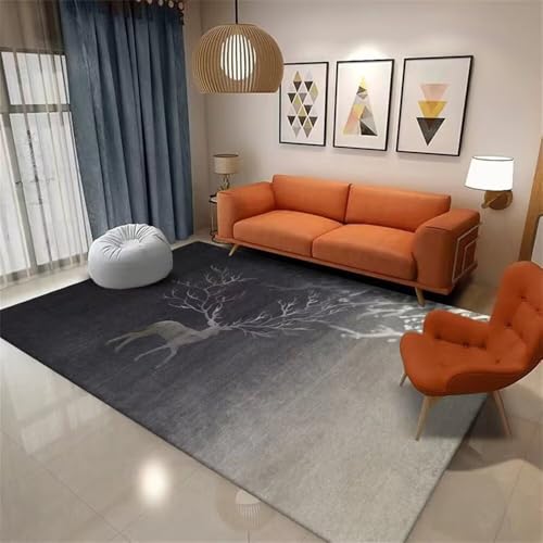 Tapis de chambre garçon doux et résistant pour adolescent - 2