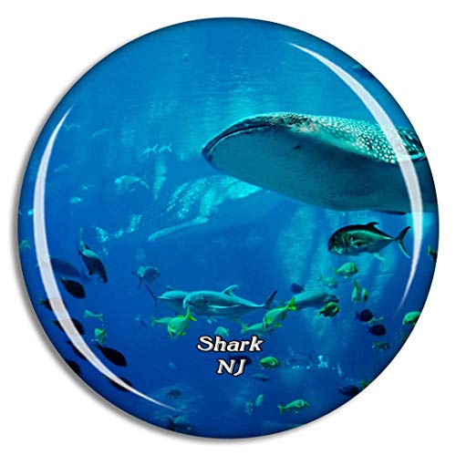 Shark Adventure Aquarium NJ 3D Crystal Glass Magnet Souvenir