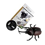 Scarabée : simulation de modélisation de scarabée, à distance, facile à utiliser, accessoire de farce