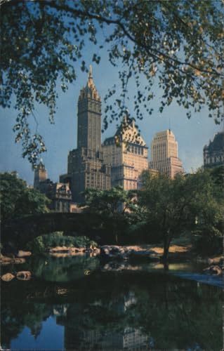 Central Park and Fifth Avenue Hotels New York City Original Vintage Postcard