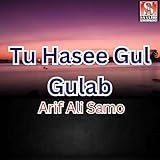 haseeb qureshi blockchain  Tu Hasee Gul Gulab