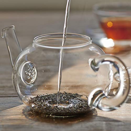 Jarra de Vidro para Infusionar Chá HARIO Donau Transparente 500 ml