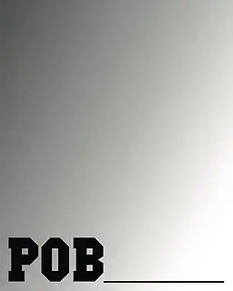 The POB Journal: Monthly, Weekly and Daily Planner for Creating Productivity and Discipline