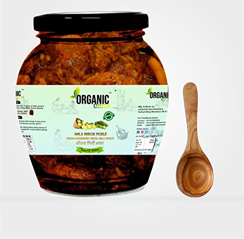 Image of Organic Anand Pure & Natural Amla-Mirchi Pickle | Indian Gooseberry & Green Chilly Achar | Fresh Homemade Amla Achar | Authentic, No Preservative | 350 gm Matka Jar