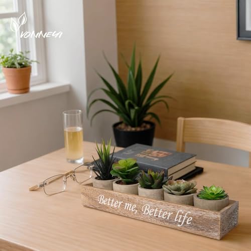 Succulentes Artificielles Cadeau Déco Original avec Plateau - 3