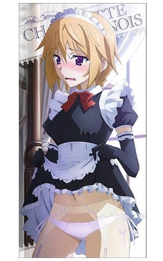 インフィニット・ストラトス シャルロット・ディア 120cm ビッグタオル Amazon.co.jp: タオル 手ぬぐい キャラクター シャルロット デュノア
