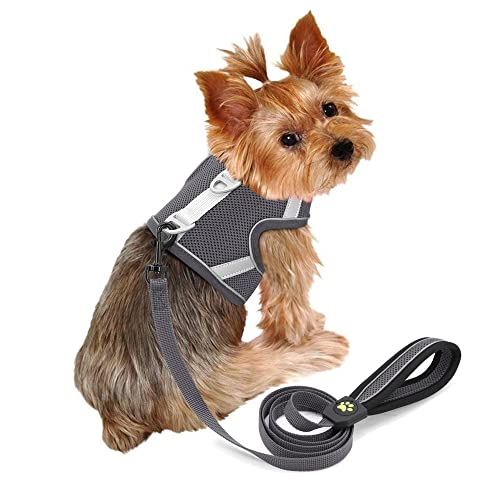 Arnés de Malla Transpirable para Perros y Gatos, Conjunto de Correa, Chaleco de arnés de Nailon Reflectante para Cachorros, Correa Ajustable para Caminar para Perros pequeños y medianos