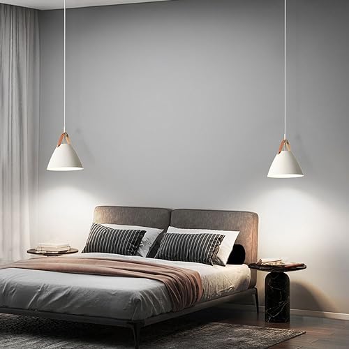 Suspension de plafond à vis E27 de style industriel MMRTDJDR - 5