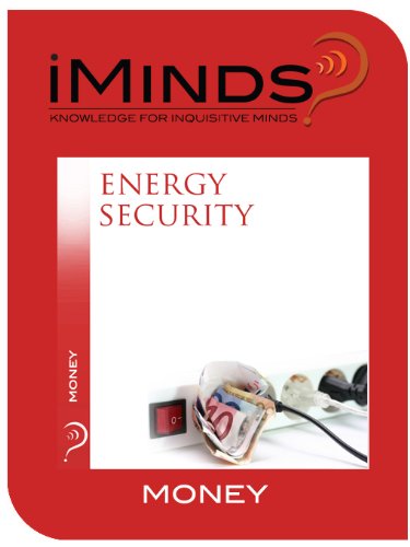 Buy Energy Security — BookShops.in