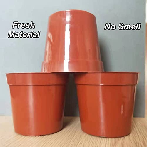 Nore 100-Pack 2.5 Inches Plus Tiny Round Plant Pots Succulent Seedling Nursery Pots Made From Virgin Grade Pp Material(Tiny, 68Mm2.67 Inch ) #TOP6