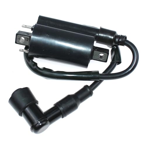 �o�C�N�p�C�O�j�b�V�����R�C�� �_�΃R�C���X�Y�L AC100 AS50 GT185 GT250 GT380 GT500 GT550 GT750 T20 T125 T250 T250R T305 T350 T500 TC100 TC90 TC120 �C�O�j�b�V