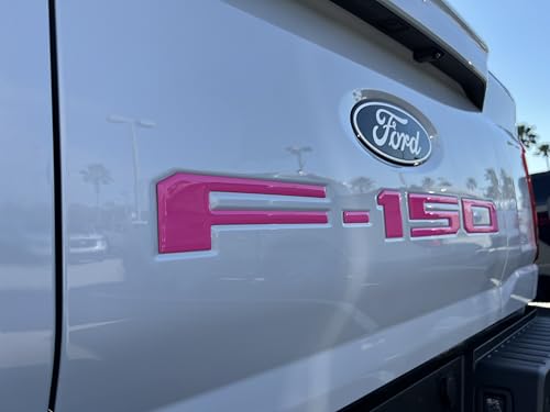 Image of F-150 Tailgate Emblem Letter Inserts - Compatible with 2021-2026 F-150