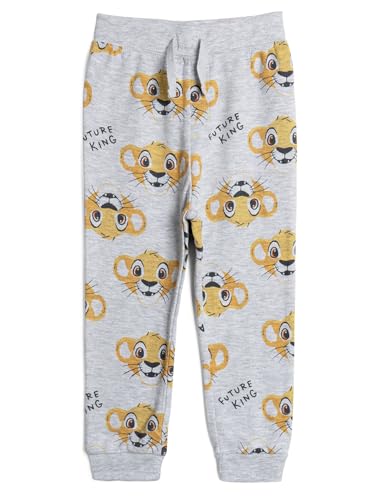 Disney Mickey Mouse Lion King 2 Pack Pants Newborn to Little Kid 5