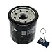 Produktbild Stoneder Ölfilter für Honda 15400-PFB-007 15410-MM5003 15410-MM9003 15410-MM9013 15410-MM9305 15410-MM9405 15410-MM9-P00 15410-MM9-P01 15410-MM9-P03 15410-MT7003 15412-MT7003.