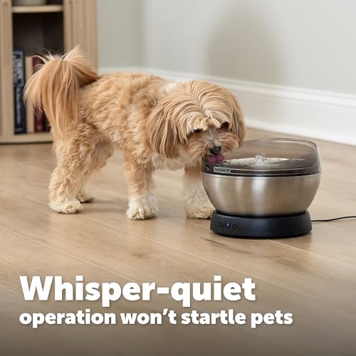 PetSafe HydroSphere 60 oz Stainless Steel Cat & Dog Fountain | Filtered Water Fountain for Cats and Small Dogs, Easy to Clean & Dishwasher Safe, Quiet, Wire-Free Pump - image 4