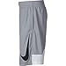 NIKE Boys' Dry HBR Athletic Shorts, Wolf Grey/White/White/Black, Large