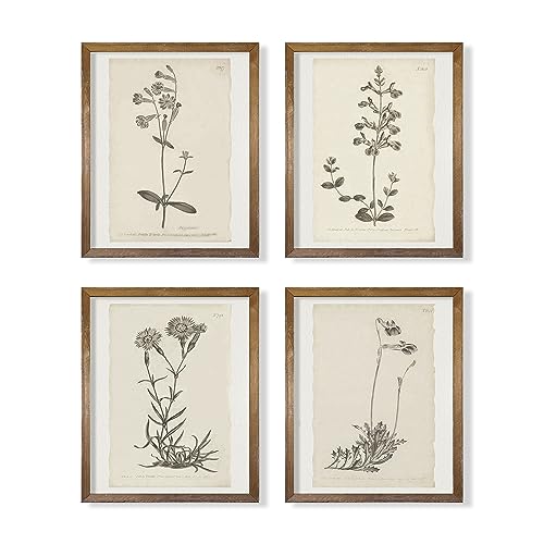 Vintage Botanical Plant Wall Art Prints - Neutral Minimalist Flower