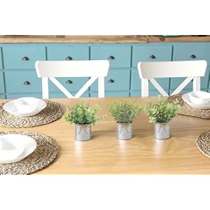 Mkono mini fake plants in farmhouse galvanized metal pots 3 pack small potted artificial plant eucalyptus for laundry room bathroom shelf table decor  urban country home decor