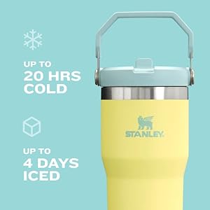 Stanley IceFlow Flip Straw Tumbler with Handle | Twist On Lid and Flip Up Straw | Leak Resistant Water Bottle | Insulated Stainless Steel | BPA-Free