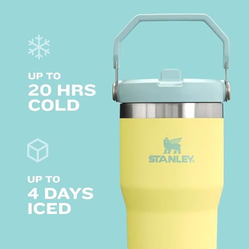 Stanley IceFlow Flip Straw Tumbler with Handle | Twist On Lid and Flip Up Straw | Leak Resistant Water Bottle | Insulated Stainless Steel | BPA-Free #4