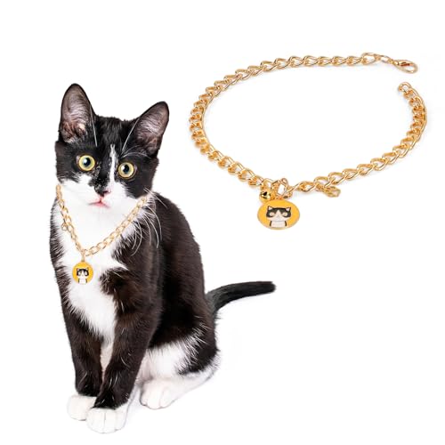 Image of HOWWFALY Dog Collar and Cat Chain Necklace Stainless Steel Adjustable 18K Gold Heart-Shaped Necklace for Small Pets Cats Kitten Puppy (Gold, 13.7 inch)