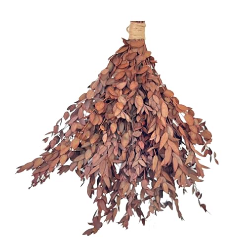 20Pcs Dried Eucalyptus Stems Red Fall Decorations for Home Real Long Eucalyptus Eucalyptus Plant Live Natural Fresh Dried Flowers for Vase 17 Floral Arrangement Wedding Fine Leaf Orange