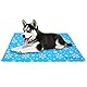 Nepfaivy Kühlmatte Kühldecke für Hund und Katze - Hunde Kühlmatte Selbstkühlend mit Ungiftiges Gel, Hundekühlmatte Katzen Kaltgelpad für Mittelgroße Haustiere oder Mensch, 65x50cm