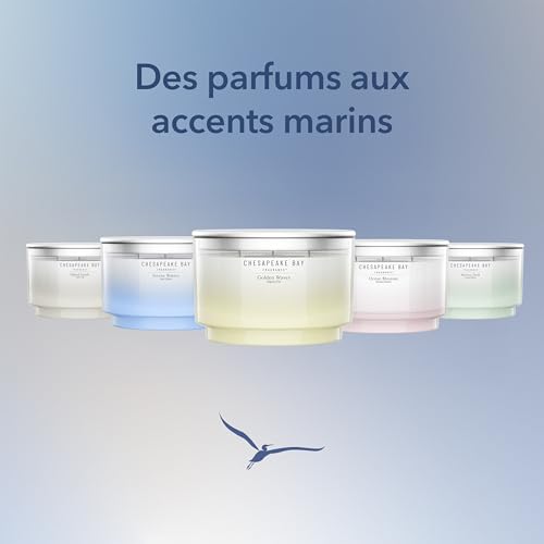 Bougie parfumée anti-odeurs Courant marin à 3 mèches Chesapeake Bay - 8
