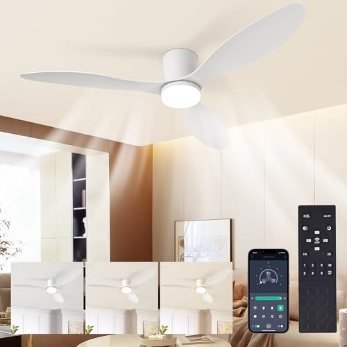 MOTORE A CORRENTE CONTINUA REVERSIBILE: Premendo il pulsante F/R sul telecomando, puoi invertire il flusso d'aria del tuo ventilatore a soffitto con luce, passando da un flusso d'aria verso il basso in estate a un flusso verso l'alto in inverno. Ciò consente di ridistribuire uniformemente nella stanza il calore accumulato sul soffitto. È più efficiente dal punto di vista energetico e più silenzioso di un tradizionale motore a corrente alternata, con un livello di rumore inferiore a 35 dB.
