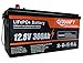Qidianfy 12V 300Ah Lithium LiFePO4 Battery, 200A BMS 3840Wh Rechargeable Lithium Iron Phosphate Battery for Solar Energy Storage, Backup Power, RV, Camping, Off-Grid, Marine