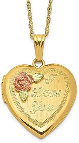 ICE CARATS 10k 12k 14k Gold Filled Chain Necklace Black Hills Locket Pendant Charm Fine Jewelry For Women Gifts For Her