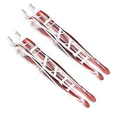 Luxxii (4 Pack) Practical Nail Art Tools Pedicure Cuticle Trimmer Remover Pusher Dead Skin Callus Removal Fork Brown (A)