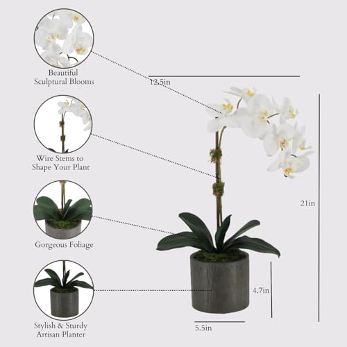 Image of CG Hunter, Faux Phalaenopsis White Orchid Plant, 21 in, White, Home Decor