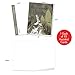 The Best Card Company - 10 Bulk All Occasion Note Cards (4 x 5.12 Inch) - Blank Assorted Cards Set, Nature Plants and Gardens - Layered Leaves M2985OCB