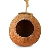 SunGrow Leopard Gecko Coco Hut, Gecko Climbing Accessories, Raw Coconut Shell Reptile Hide, Terrarium Habitat Decor, 2.5 Opening Diameter, with Fiber Loop for Hanging (1-Hole)