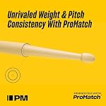 Promark TX420N American Hickory Mike Portnoy Autograph Series Nylon Tip, Single Pair