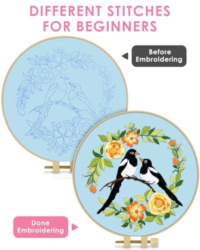Image of TINDTOP Embroidery Kit for Beginners Adult, Bird Embroidery Kit | Include Embroidery Cloth Hoops Threads for Craft Lover Hand Stitch with Embroidery Skill Techniques