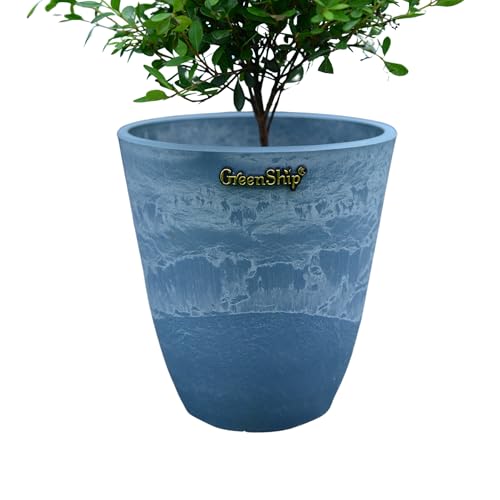 Greenship Aؔ 4 Jo[ ^e[u vX`bNΕ Εu^  Jo[ u[