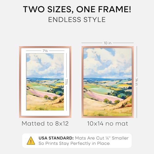 Image of Homeforia 10x14 Rose Picture Frame, High-End Metal, 8x12 Mat, Glass | High End Aluminum, Tempered Glass, Acid-Free 8x12 Removable Mat, 10x14 in Edge-to-Edge Display 14x10, Wall Kit, Set Of 1