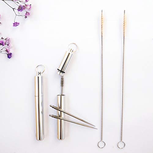 3T-SISTER Titanium Toothpick 2pcs + Toothpick Holder 1pcs + Free Brush 2pcs EDC Reusable Ti Toothpick Fruit Fork with Portable Holder for Traveling Hiking Camping Picnic etc.