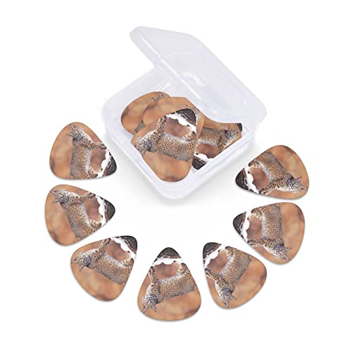 Wild Bobcat Lot de 3 médiators en celluloïd coloré pour guitare basse, amateurs de musique, joueurs de guitare, guitares électriques et acoustiques 0,46 mm, 0,71 mm, 0,96 mm - Les Beatles, Paul McCartney, John Lennon, RIngo Starr, George Harrison Wild Bobcat Lot de 3 médiators en celluloïd coloré pour guitare basse, amateurs de musique, joueurs de guitare, guitares électriques et acoustiques 0,46 mm, 0,71 mm, 0,96 mm – Image 7