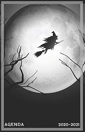 Télécharger Agenda 2020 2021: Sorcière | Agenda Scolaire Journalier de Septembre 2020 à Août 2021 pour Collè Francais PDF