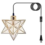 HFUGUD Plug in Pendant Light Fixtures Hanging Ceiling Lamp 16.4Ft Hanging Lights with Plug in Cord a