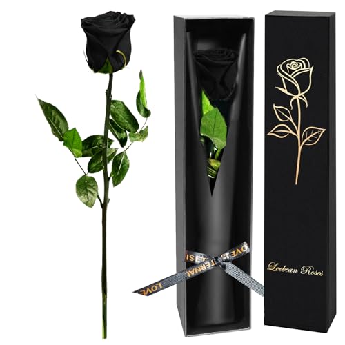 Single Forever Roses Luxury Gift for Women/Men, Birthday Gifts for Women,Flowers Gifts for Girlfriend,Wife,Mom,Anniversary,Valentine's Day,Wedding,Graduation,Presents for Her,Red
