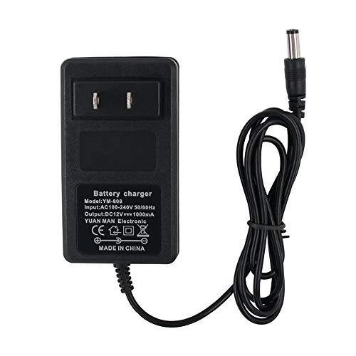 best choice products 12v charger